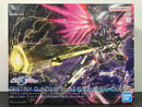 HGUC 1/144 No. 258 Destiny Gundam Spec II + Zeus Silhouette ZGMF/A-42S2 & A-GXQ754/V2 Compass Mobile Suit [命運高達 Spec II & 宙斯魅影]