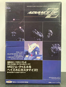 MG 1/100 Scale RX-121 Gundam TR-1 [Hazel] Head Parts for MG GM Quel Advance of Zeta: The Flag of Titans - 2003 January Dengeki Hobby Exclusive Version