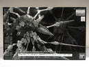 MG 1/100 Dragoon Display Effect for Providence Gundam